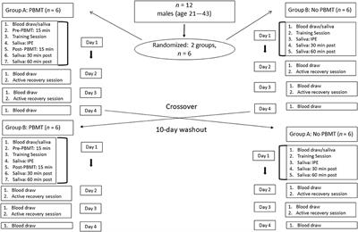 The Effects of Whole-Body Photobiomodulation Light-Bed Therapy on Creatine Kinase and Salivary Interleukin-6 in a Sample of Trained Males: A Randomized, Crossover Study